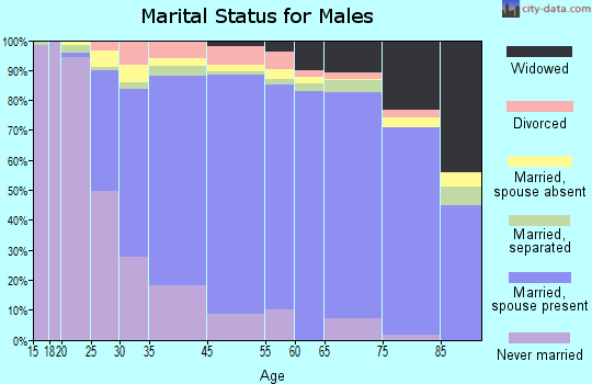 Lynbrook marital status for males