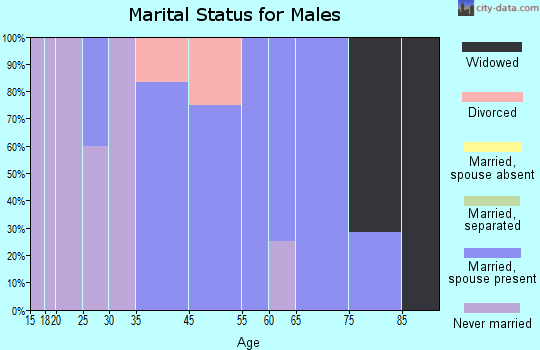 Lyon Mountain marital status for males