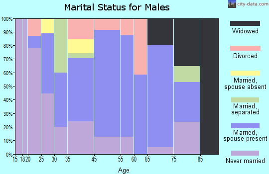 Lyons Falls marital status for males