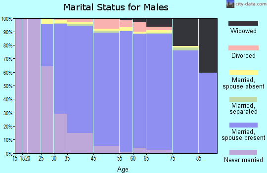 Massapequa marital status for males