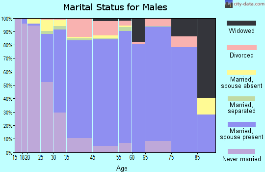 Mastic marital status for males