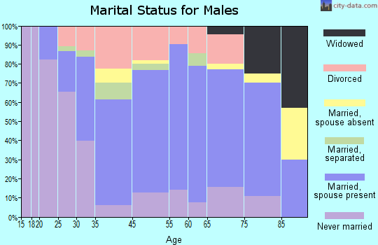 Medina marital status for males