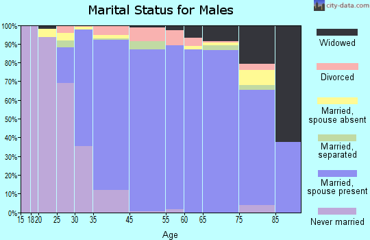 Melville marital status for males