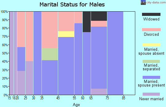 Salesville marital status for males