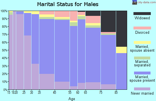 Mineola marital status for males