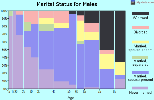 Montour Falls marital status for males