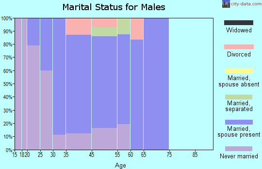 Morrisonville marital status for males