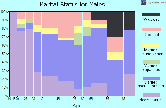 Mount Morris marital status for males