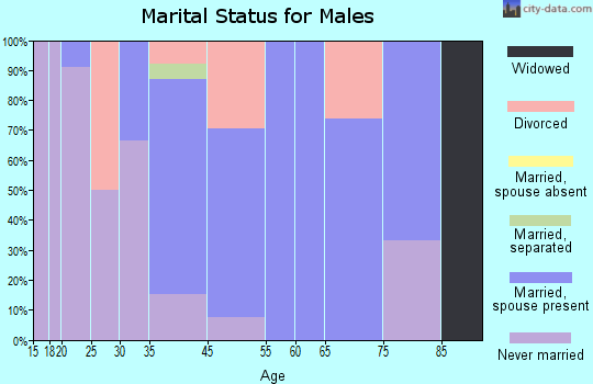 Munnsville marital status for males