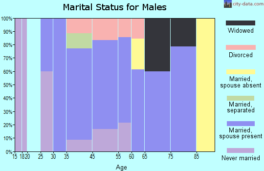 Narrowsburg marital status for males