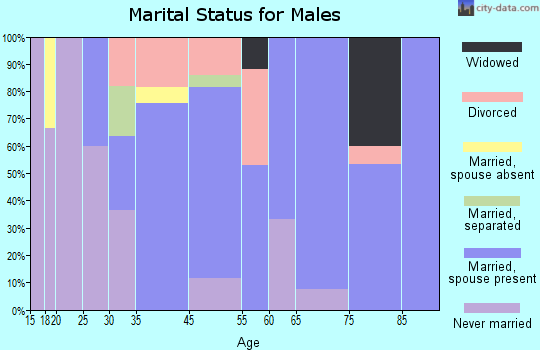 Nelliston marital status for males