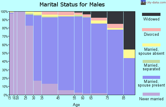 New City marital status for males