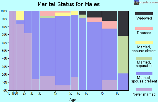 New Hempstead marital status for males