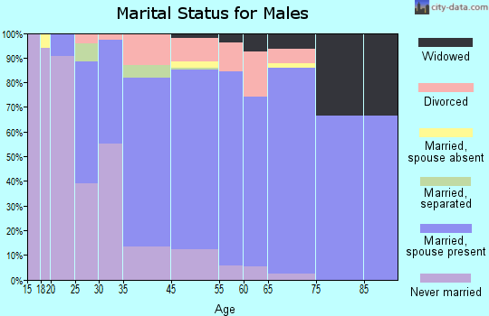 New Windsor marital status for males
