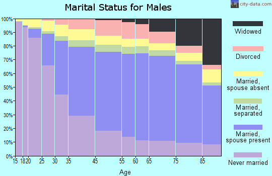 New York marital status for males
