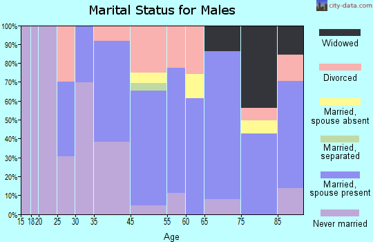New York Mills marital status for males