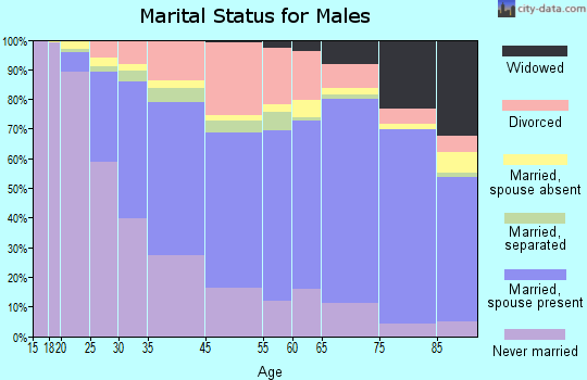 Niagara Falls marital status for males