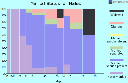 Niverville marital status for males