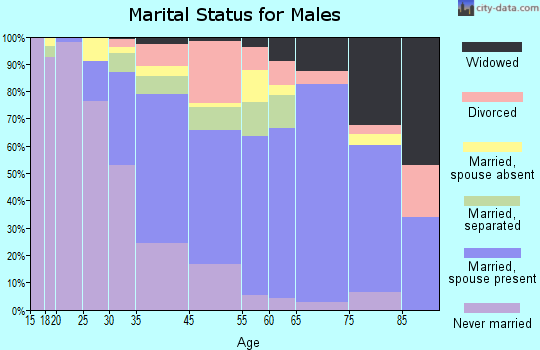 North Amityville marital status for males