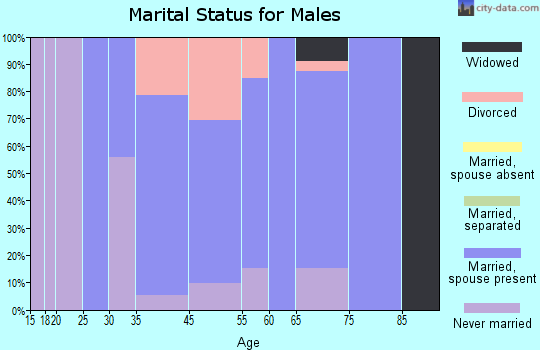 North Ballston Spa marital status for males