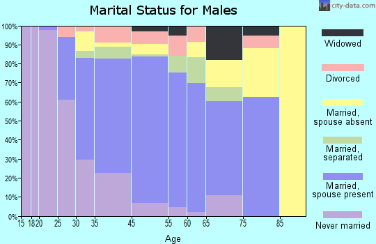 North Bellport marital status for males