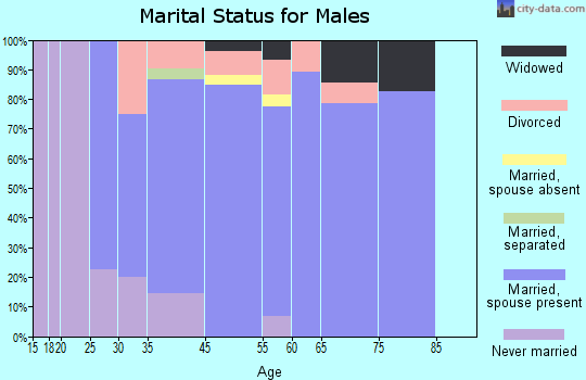 North Boston marital status for males