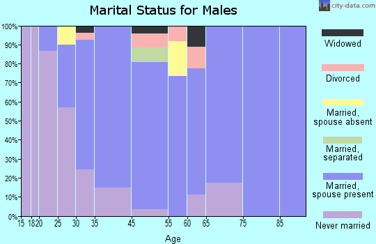 Northeast Ithaca marital status for males