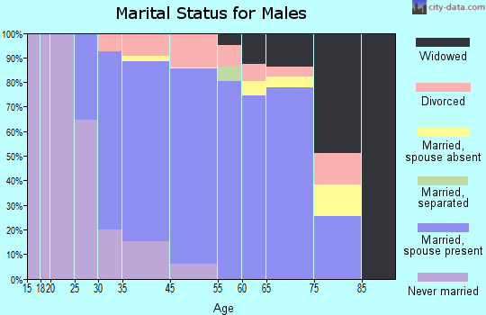 North Great River marital status for males