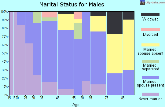 North Hornell marital status for males