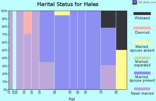 North Lynbrook marital status for males