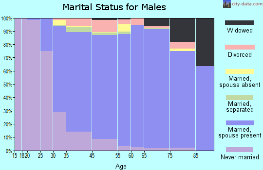 North Massapequa marital status for males