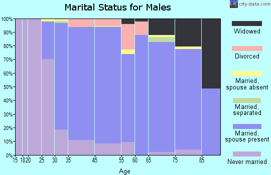 North Merrick marital status for males