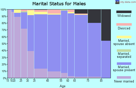 North New Hyde Park marital status for males