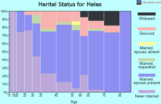 North Syracuse marital status for males