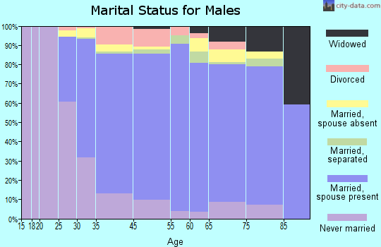North Valley Stream marital status for males