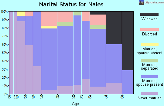 Northville marital status for males