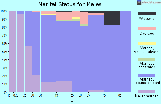 North Wantagh marital status for males