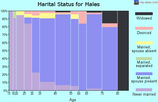 Old Bethpage marital status for males