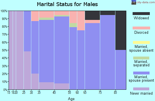 Oneida Castle marital status for males