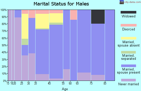 Otego marital status for males
