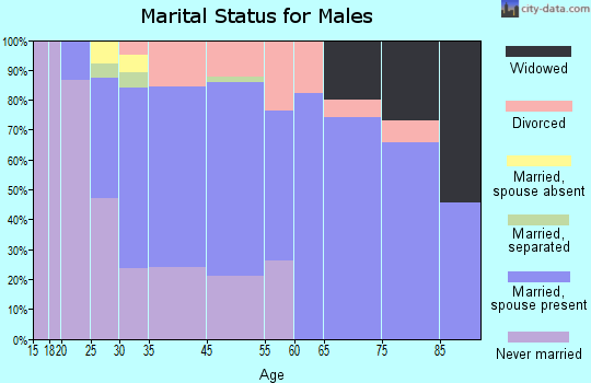 Palmyra marital status for males