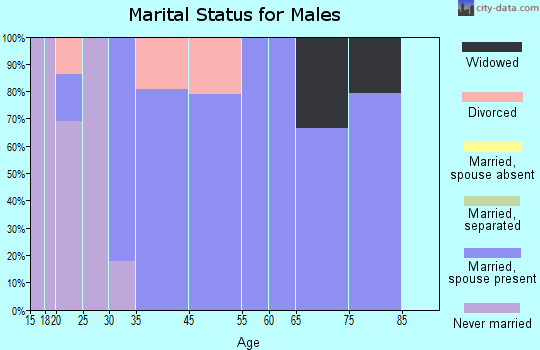 Pattersonville-Rotterdam Junction marital status for males