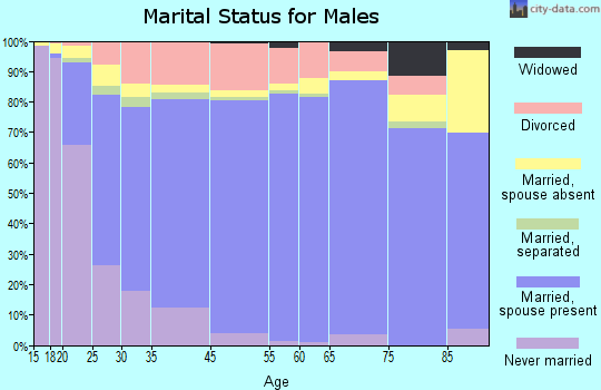 Springdale marital status for males