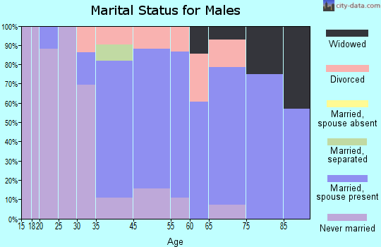 Pine Plains marital status for males