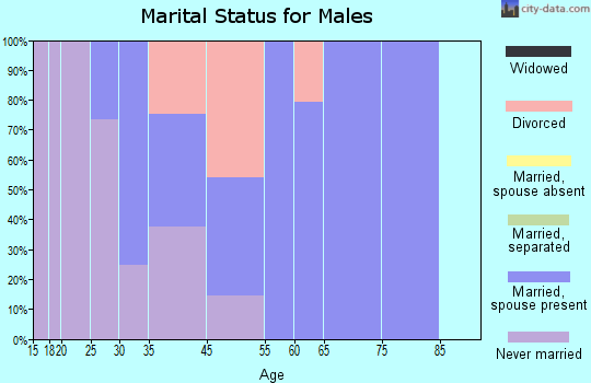 Plattekill marital status for males