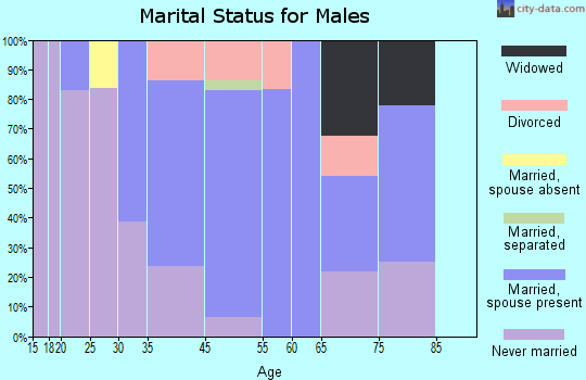 Pleasant Valley marital status for males