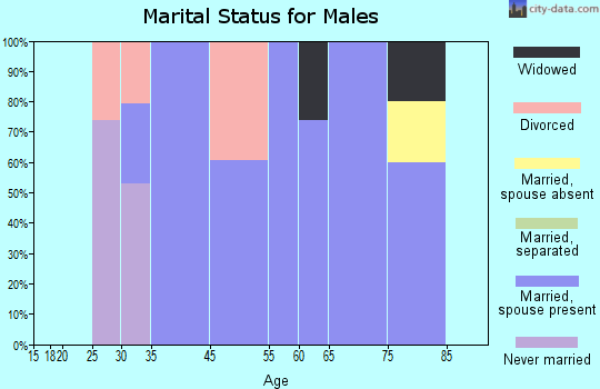 Poestenkill marital status for males