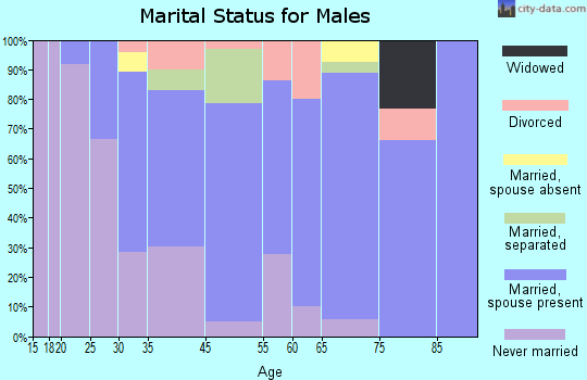 Port Byron marital status for males
