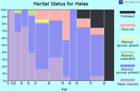 Port Henry marital status for males