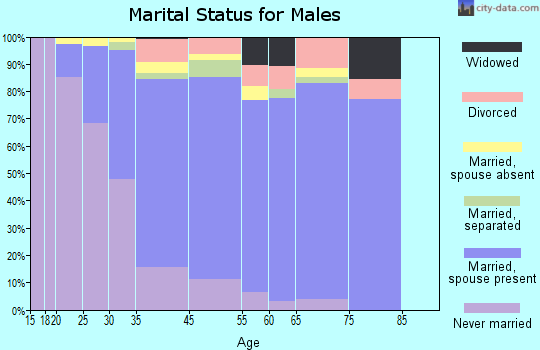 Port Jefferson Station marital status for males